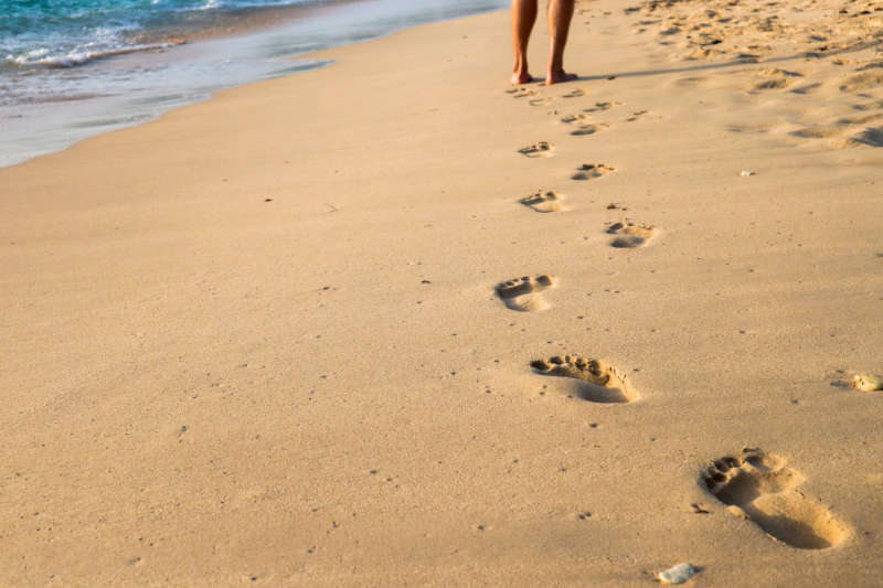 The Healing Power of Grounding: Benefits of Earthing for Health and Wellness